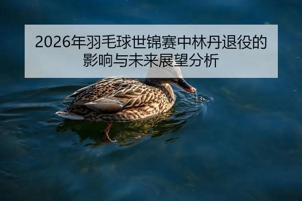 2026年羽毛球世锦赛中林丹退役的影响与未来展望分析