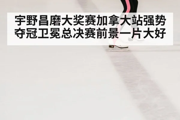 figure skating rink