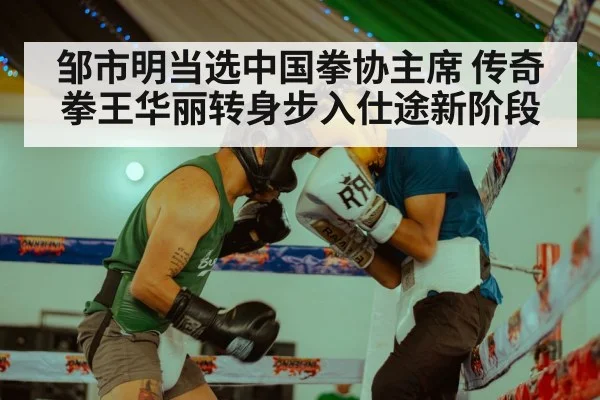 邹市明当选中国拳协主席 传奇拳王华丽转身步入仕途新阶段