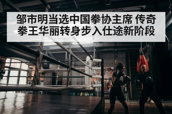 boxer training