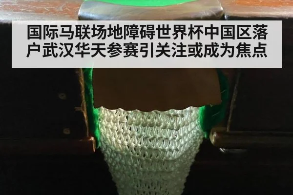 国际马联场地障碍世界杯中国区落户武汉华天参赛引关注或成为焦点